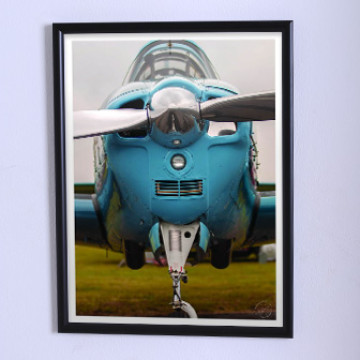 Art poster The blue airplane