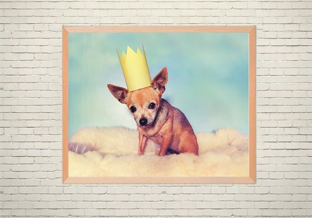 Арт плакат Собачка в короне