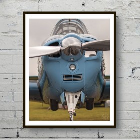Art poster The blue airplane